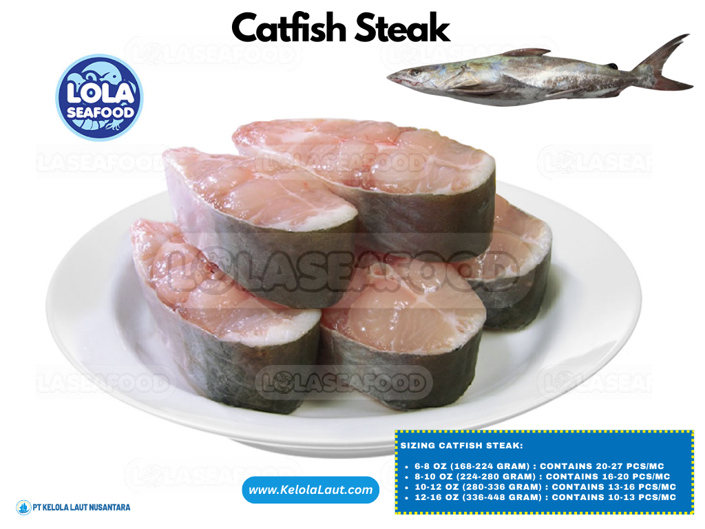 Catfish Steak