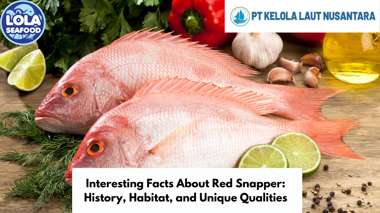 Interesting Facts About Red Snapper: History, Habitat, and Unique Qualities