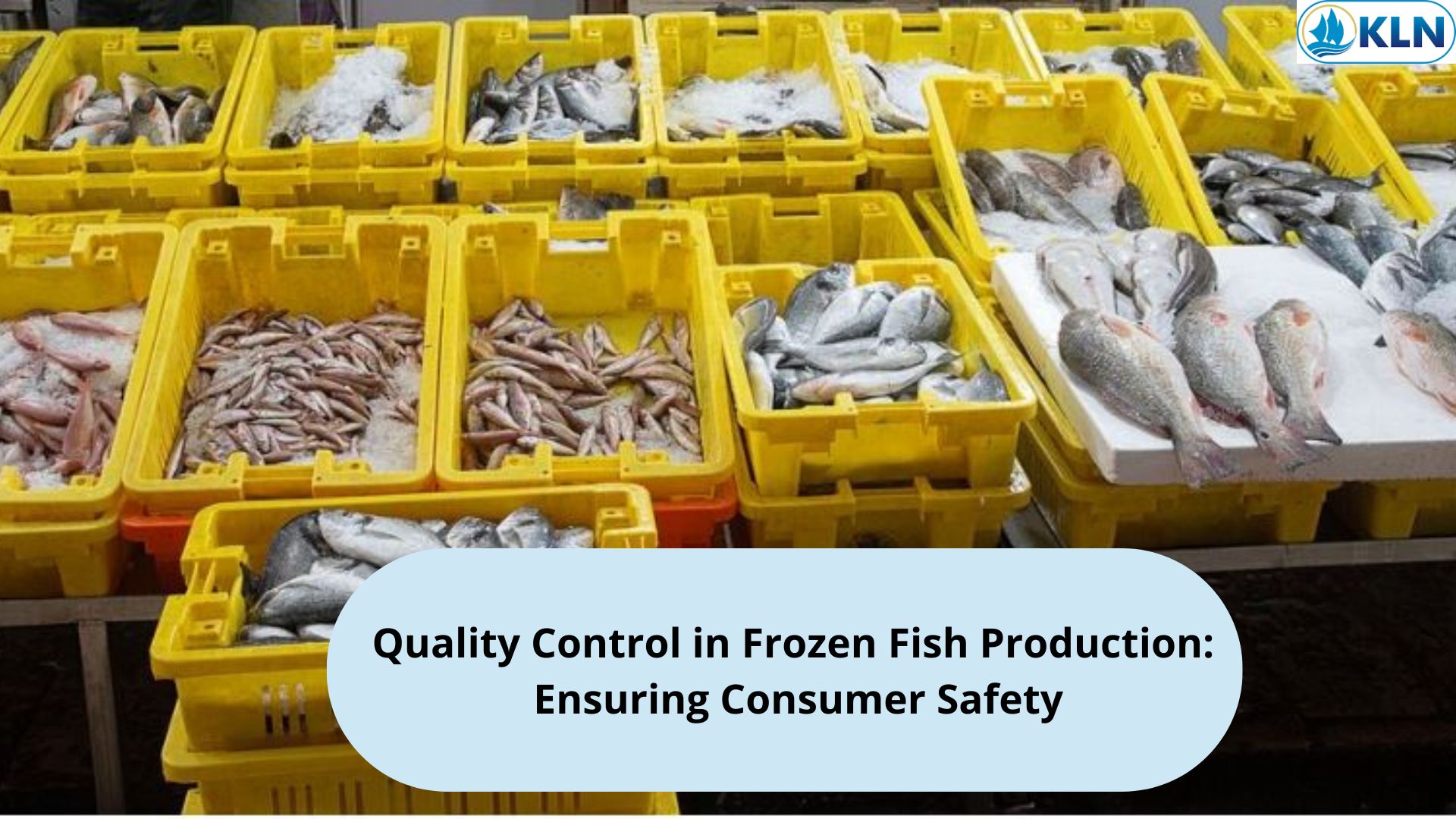 Quality Control in Frozen Fish Production: Ensuring Consumer Safety