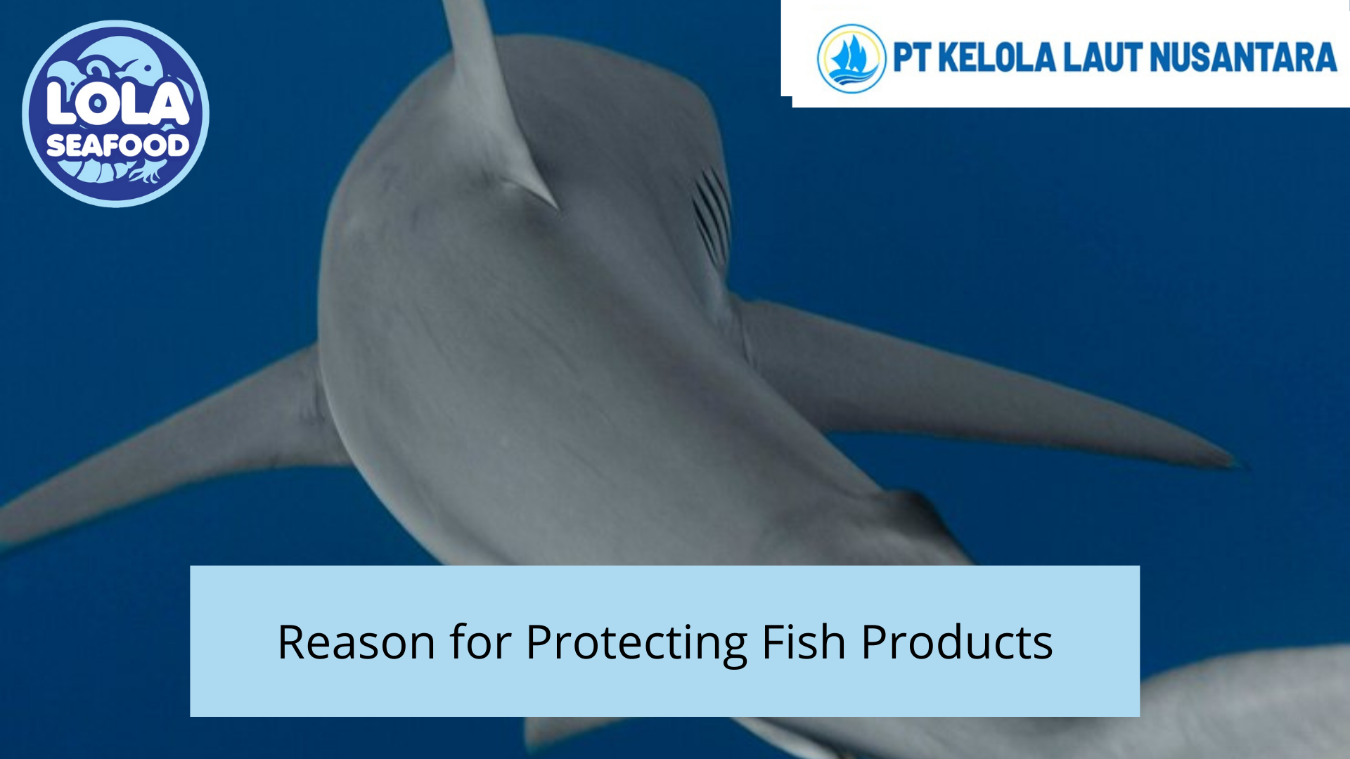 Reason for Protecting Fish Products