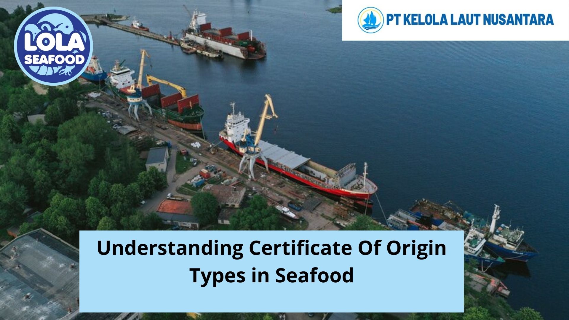 Understanding Certificate of Origin Types in Seafood