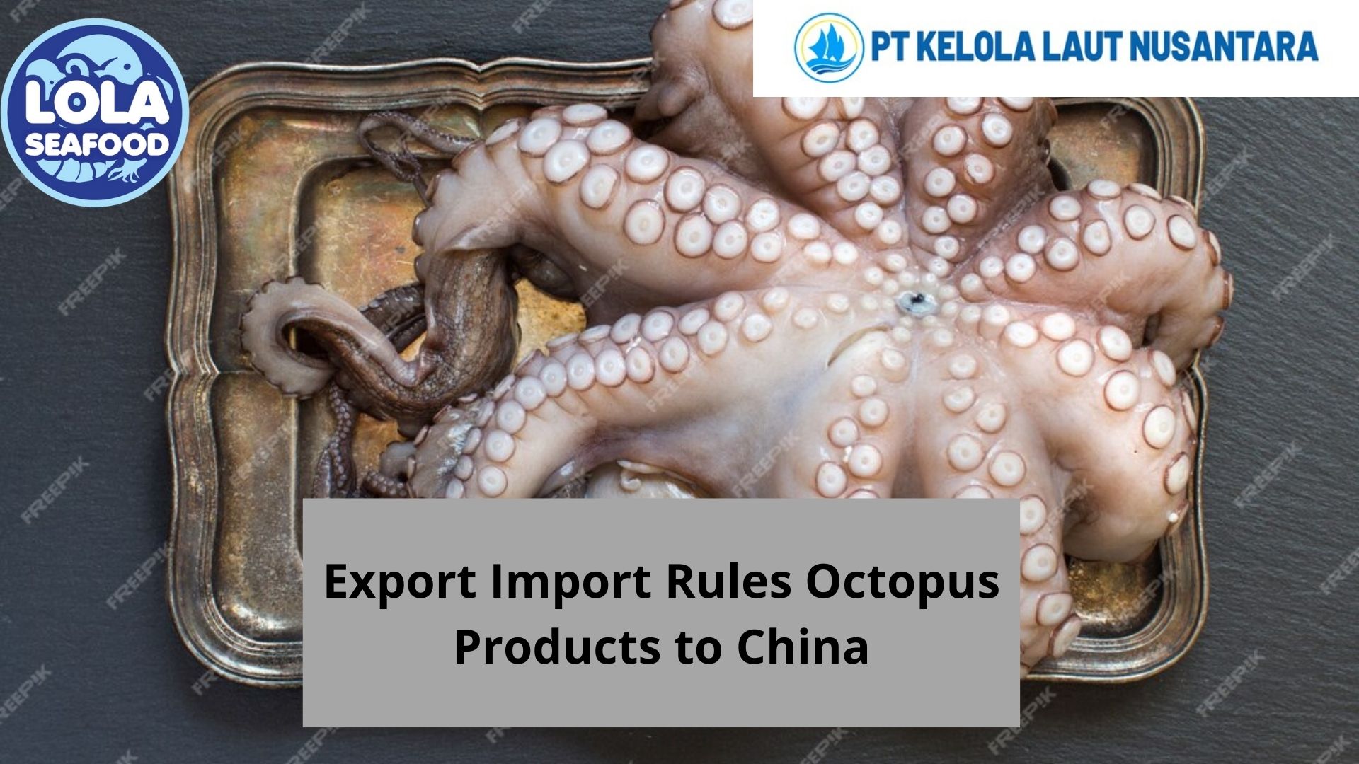 Export – Import Rules for Octopus Products to China